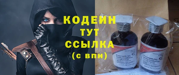 хмурый Пестово