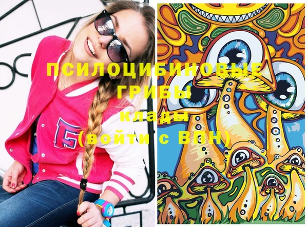 ПСИЛОЦИБИНОВЫЕ ГРИБЫ Покачи